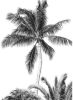 Komar Retro Palm Vlies Fotobehang 200x280cm 4 banen online kopen